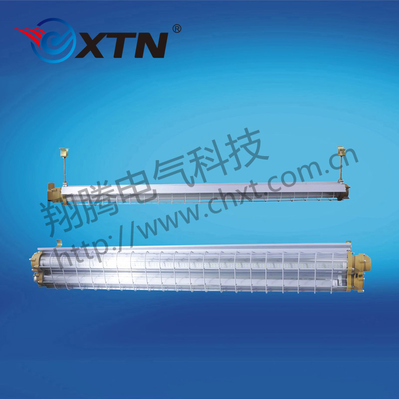 BAY51系列防爆高節(jié)能LED熒光燈(ⅡB、ⅡC)